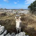 Cappabhaile House 3* Ballyvaughan