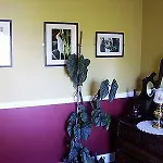 Pensjonat Cappabhaile House 3*