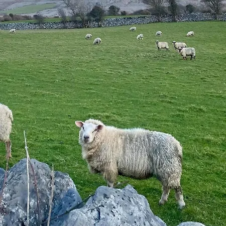 Cappabhaile House Ballyvaughan