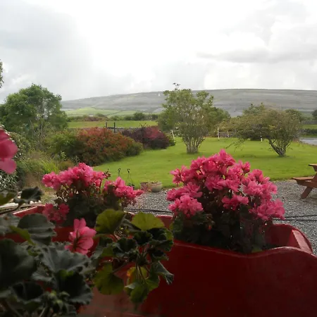 Guest house Cappabhaile House 3*