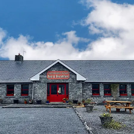 Gasthuis Cappabhaile House 3*