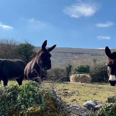 Cappabhaile House 3* Ballyvaughan