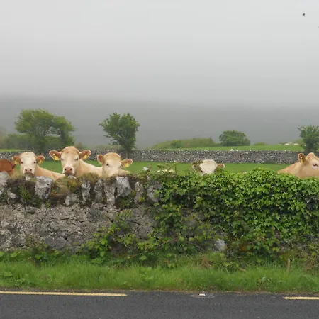 Cappabhaile House 3* Ballyvaughan