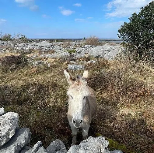 Cappabhaile House 3* Ballyvaughan