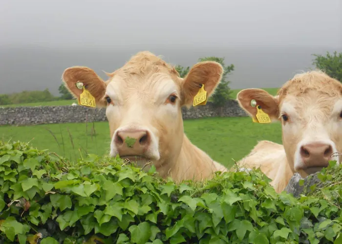 Cappabhaile House 3*