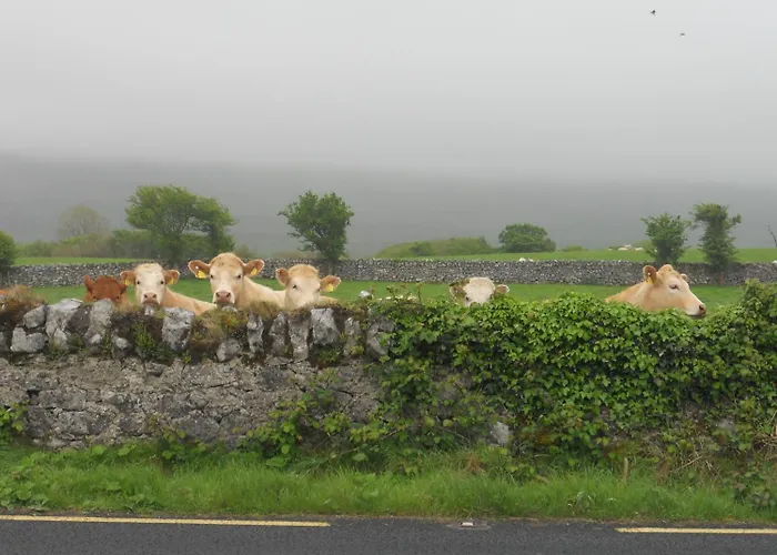 Cappabhaile House 3* باليفاوغان