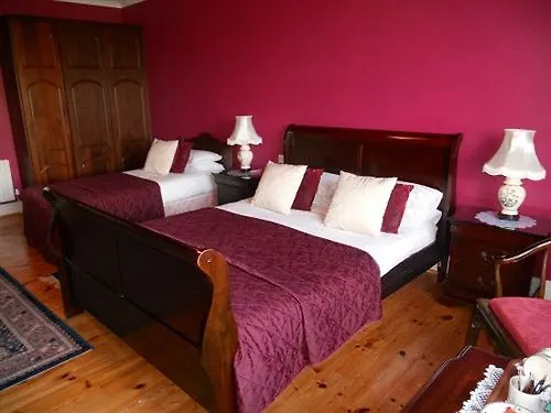 Cappabhaile House بيت ضيافة باليفاوغان